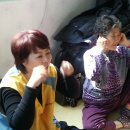 대보2리경로당 이미지