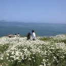 마실길 이미지
