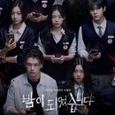 (주) 티파 이미지