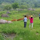 수도 한우목장 이미지