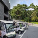 포레스트문 | 충북 제천 숙소 포레스트리솜 S30 즐길거리 내돈내산 솔직후기