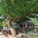 괴산새재관광편의시설 | 충북 괴산 여행 :: 수옥정 수옥폭포 여름휴가 물놀이장 카페