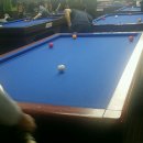 쫑생쫑사 이미지