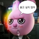나의사계