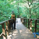 야외음악당입구 화장실 이미지