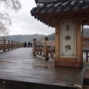 안동신시장마트 이미지