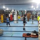 엘리트 충남종합복싱체육관 이미지