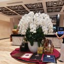 동산휘트니스 | 나트랑 셀렉텀 노아 리조트 뷔페 이용 후기｜올인클루시브 메뉴 구성까지 솔직 리뷰”