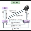 부두로R 이미지