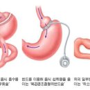 시도고도