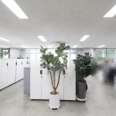 월가공인중개사사무소 이미지