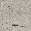 만천천길 이미지