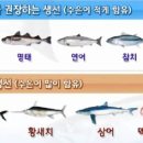 바른눈안경 이미지