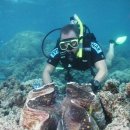 ＊거대한 대왕조개 (Giant Clam)... 이미지