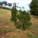 진관2리마을회관 이미지