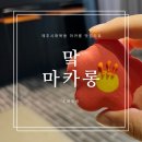 제주시 마카롱 추천ㅣ제주 마카롱 디저트 전문점 추천, 한라산 마카롱, 돌하르방 마카롱, 귀염뽀짝...
