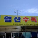 월산수족관