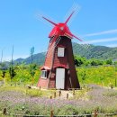 (주)동해관광 | 진해 가볼만한곳 석동해뜰광장 금계국 개화 현황 및 석동유적전시관 후기
