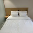 하운드 호텔 창원터미널점 | 이천 하운드호텔 이천터미널점 출장 숙박 후기