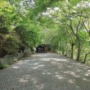 호두나무캠핑장 이미지