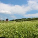 탑산약수온천 이미지