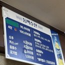 동백 | 전주 서신동 동백수산 내돈내산 후기