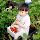 마중물 농장 이미지