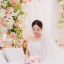블리스커튼 | 평택 본식 스냅 엔팰리스 컨벤션 블리스홀 촬영 후기