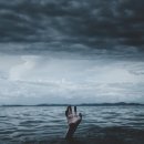 부사노바 이미지