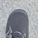 엔돌핀 | 써코니 엔돌핀스피드5 내돈내산 후기