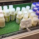 병우농장 이미지