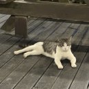 군청8길 이미지
