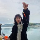 삼척항 내항 찌낚시 후기 – 작은 손맛, 큰 추억
