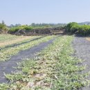 제주공감공인중개사사무소 이미지