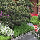 숭의여자중학교 이미지