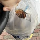 신시로16길1-20 이미지