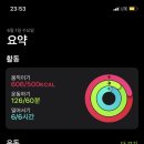 장어랑여자랑 이미지