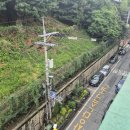 중앙동197 이미지