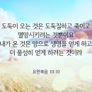 디모데후서 3 이미지