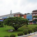 양구살수 이미지