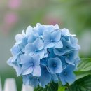 축복의집 이미지