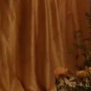 인플라워 이미지