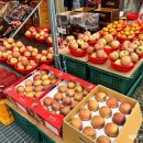 일미농원 이미지