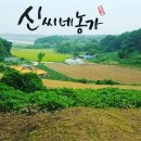 신씨네농가