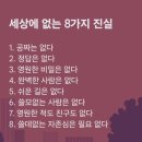 오월의발코니 네이버블로그