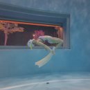 매일 좋아지는 연습 보이스 디자인 | 여자 수영복 추천, 고수 수영복 더블 크로스백 코튼캔디 프리다이빙 후기