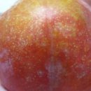 낙원농장3 이미지