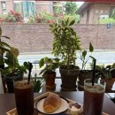 역삼2-103 | [서울/역삼] 역삼역 카페 헤일로 조용하게 쉬기 좋은 강남 카페 후기