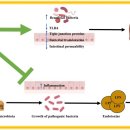 투라인인터내셔널(주) 이미지