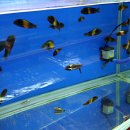 코리아농장 이미지